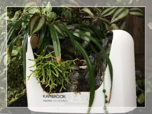 旧烤箱废物利用 改造成园艺盆景的小制作方法(图7)