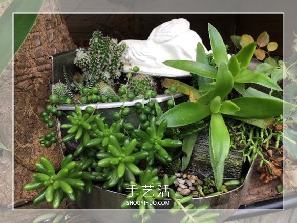 旧烤箱废物利用 改造成园艺盆景的小制作方法(图10)