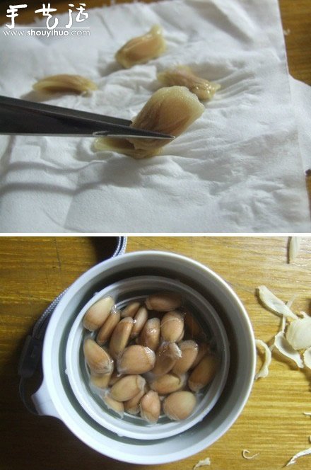 柚子核播种DIY“杯子里的小森林”(图3)