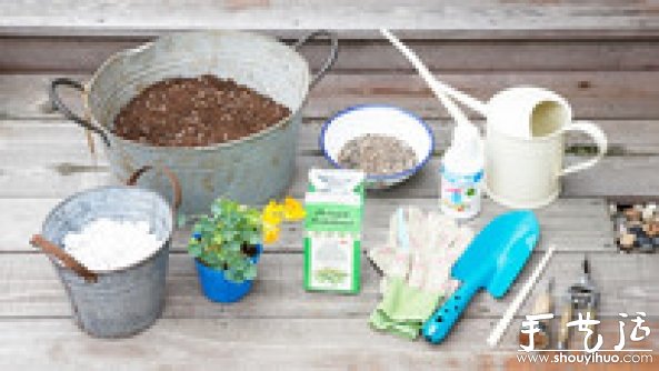 如何移栽花草 花草移植的方法(图2)