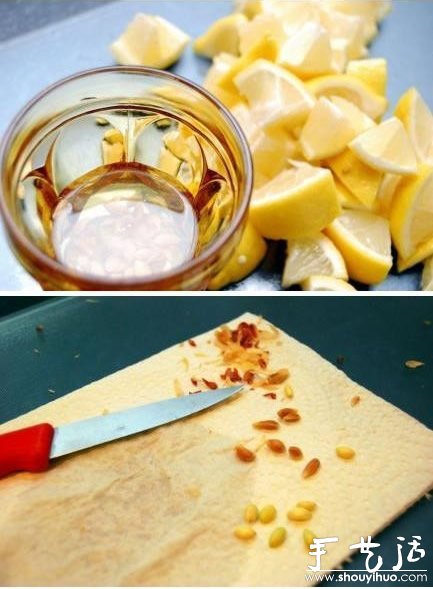 超萌的柠檬盆栽手工DIY(图2) 超萌的柠檬盆栽手工DIY(图2)