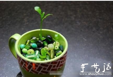 超萌的柠檬盆栽手工DIY - 功圣花卉