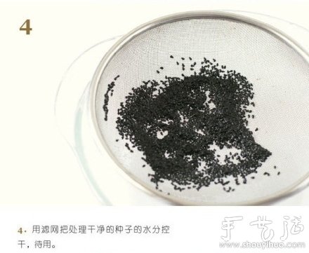 火龙果DIY心形盆栽(图4) 火龙果DIY心形盆栽(图4)