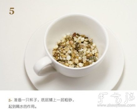 火龙果DIY心形盆栽(图5) 火龙果DIY心形盆栽(图5)