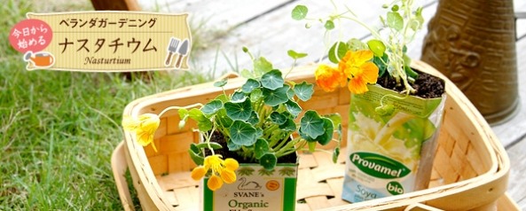 如何移栽花草 花草移植的方法(图11)