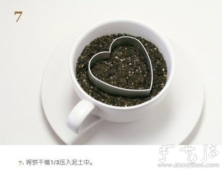 火龙果DIY心形盆栽(图7) 火龙果DIY心形盆栽(图7)