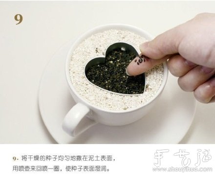 火龙果DIY心形盆栽(图9) 火龙果DIY心形盆栽(图9)