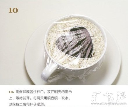 火龙果DIY心形盆栽(图10) 火龙果DIY心形盆栽(图10)