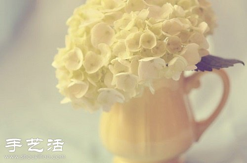 让鲜花绽放久一点的5个小窍门(图1)