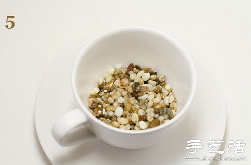 火龙果的籽DIY可爱观赏盆栽(图6)