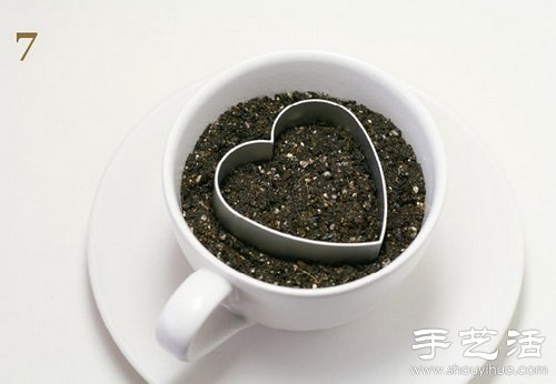 火龙果的籽DIY可爱观赏盆栽(图8)