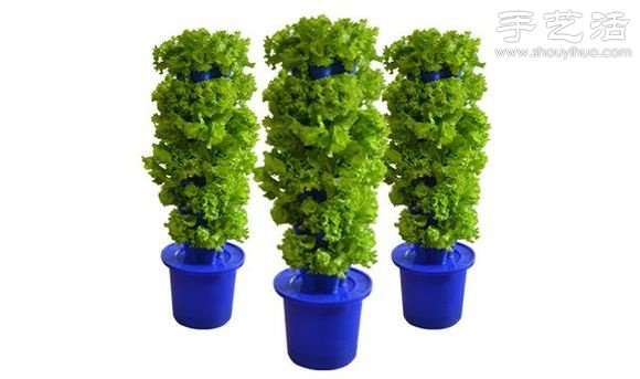 超详细水培种菜教程 家里也可以方便种菜啦！(图3)