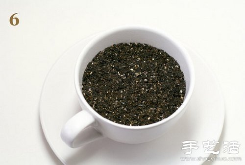 火龙果的籽DIY可爱观赏盆栽(图7)