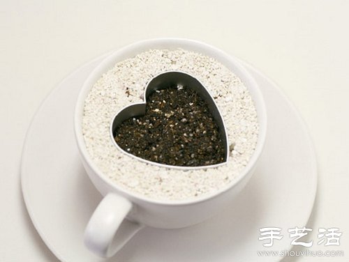 火龙果的籽DIY可爱观赏盆栽(图9)