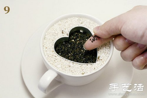 火龙果的籽DIY可爱观赏盆栽(图10)