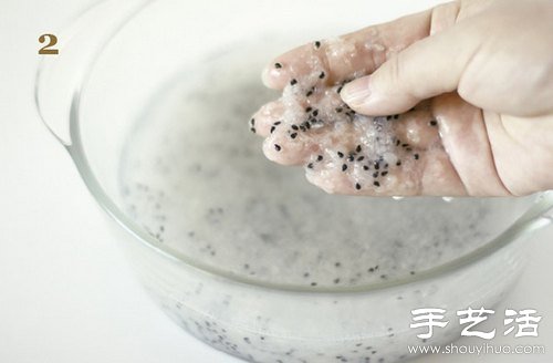 火龙果的籽DIY可爱观赏盆栽(图3)