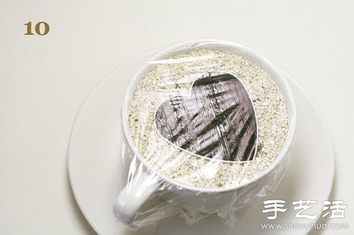 火龙果的籽DIY可爱观赏盆栽(图11)