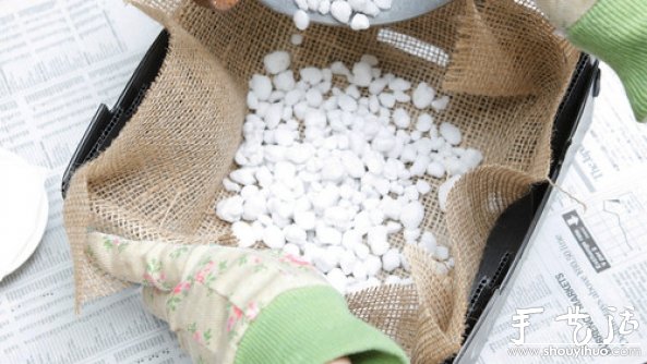 家庭迷你菜园的DIY教程(图4)