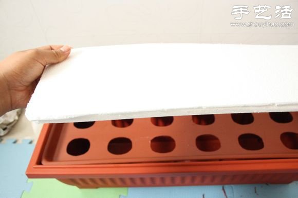 超详细水培种菜教程 家里也可以方便种菜啦！(图15)