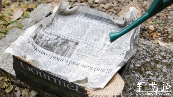 家庭迷你菜园的DIY教程(图7)