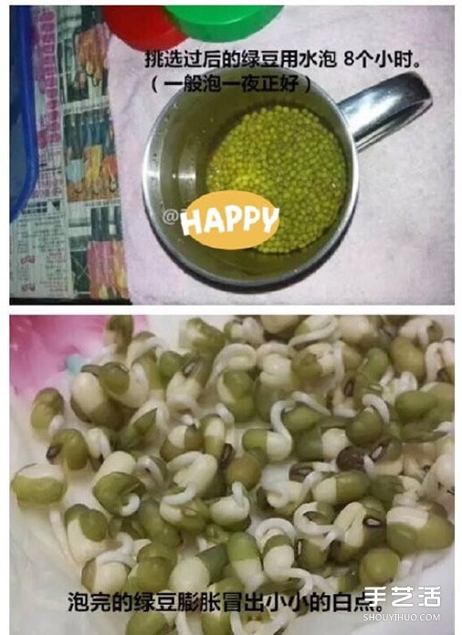 可乐瓶子种豆芽的方法 家庭种豆芽的简单教程(图3)