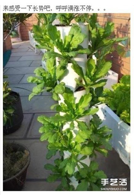 PVC管种菜设计图,利用PVC管阳台种菜的方法(图3) PVC管种菜设计图,利用PVC管阳台种菜的方法(图3)