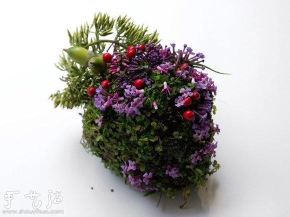 花草DIY的各种人体器官(图4)