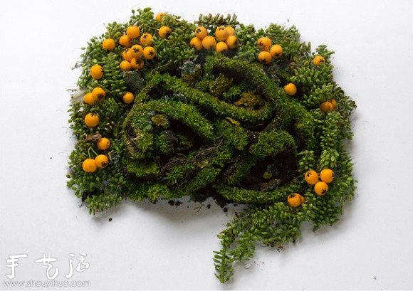 花草DIY的各种人体器官(图5)