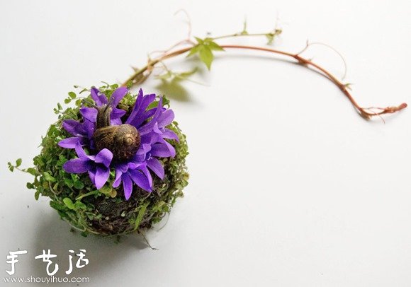 花草DIY的各种人体器官(图7)