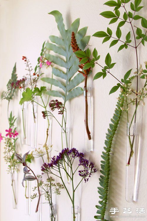 叶片+试管 DIY自然美丽的墙壁装饰(图4) 叶片+试管 DIY自然美丽的墙壁装饰(图4)