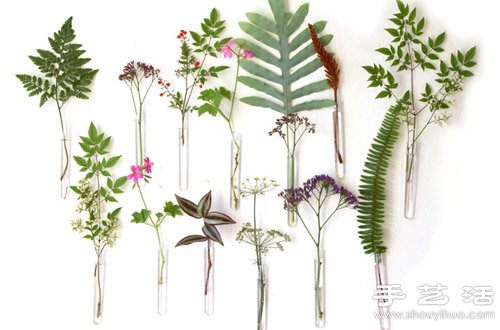 叶片+试管 DIY自然美丽的墙壁装饰(图1) 叶片+试管 DIY自然美丽的墙壁装饰(图1)