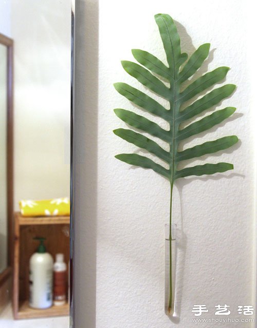 叶片+试管 DIY自然美丽的墙壁装饰(图6) 叶片+试管 DIY自然美丽的墙壁装饰(图6)