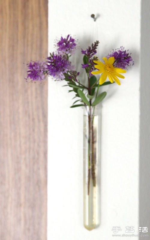 叶片+试管 DIY自然美丽的墙壁装饰(图7) 叶片+试管 DIY自然美丽的墙壁装饰(图7)