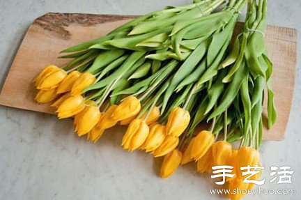 家庭插花小窍门 用胶带帮你定位DIY(图3)