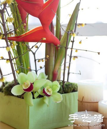 自己动手简单DIY插花教程(图3)