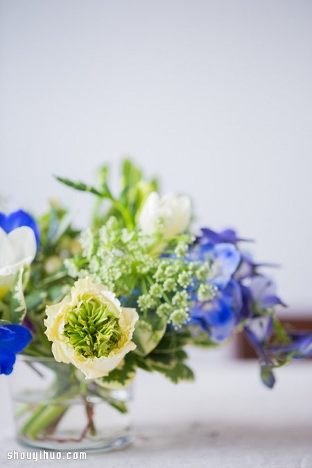 随意花卉组合搭配 DIY漂亮插花教程图解(图6)