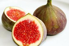 无花果的栽培管理