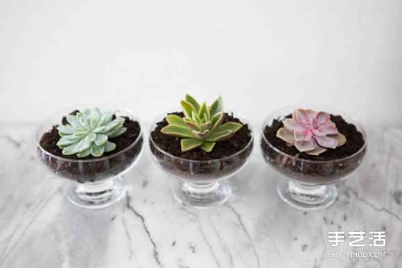 让家更多彩缤纷，不可不知的花朵装饰小技巧(图6)