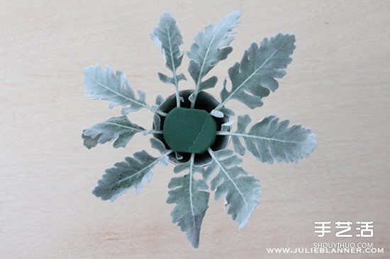 简易插花入门教程图解 所用花器是废旧圣杯~(图7)