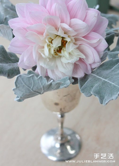 简易插花入门教程图解 所用花器是废旧圣杯~(图8)