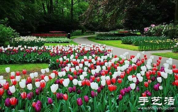 春季最美的花园——库肯霍夫公园(图2)