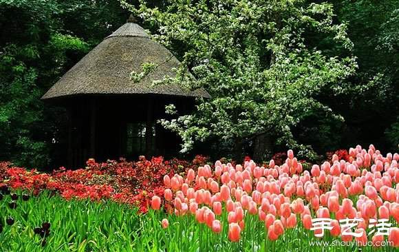 春季最美的花园——库肯霍夫公园(图12)