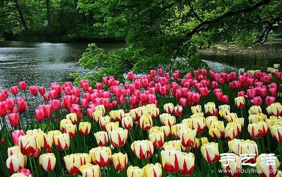 春季最美的花园——库肯霍夫公园(图16)