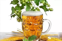 啤酒在家庭养花中的妙用