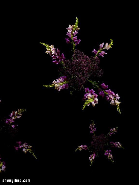 Flowerwork 德国艺术家设计的花朵烟花(图7)