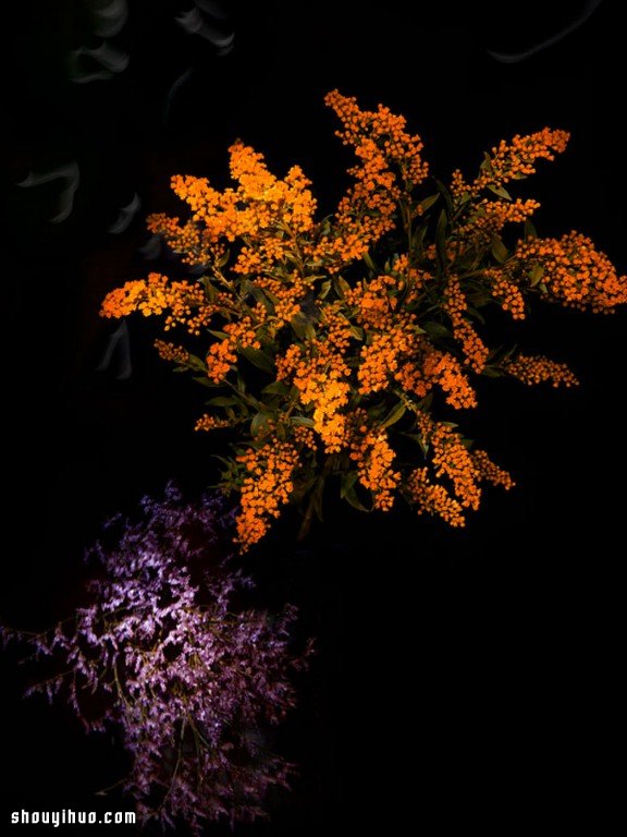 Flowerwork 德国艺术家设计的花朵烟花(图5)