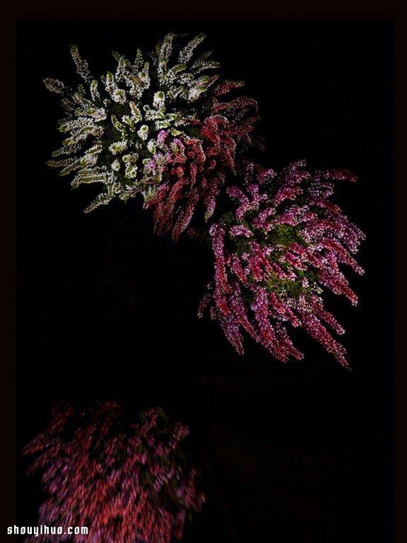 Flowerwork 德国艺术家设计的花朵烟花(图9)