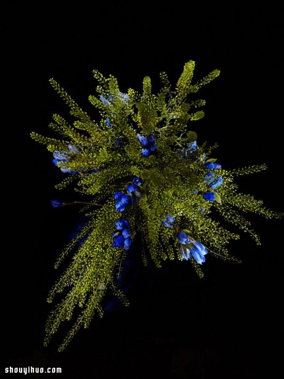 Flowerwork 德国艺术家设计的花朵烟花(图11)