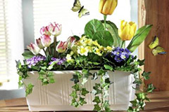 盆栽花卉施肥方法