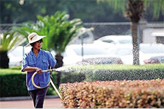 花木浇水时需要注意的几个问题